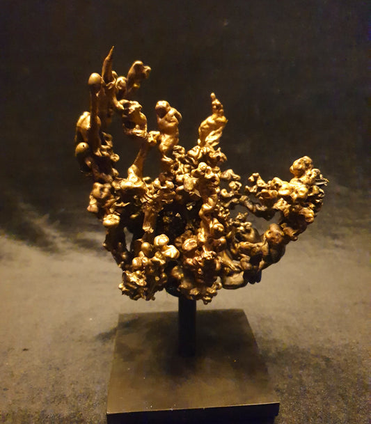 Coral