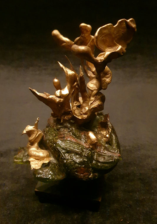 Phoenix Nest